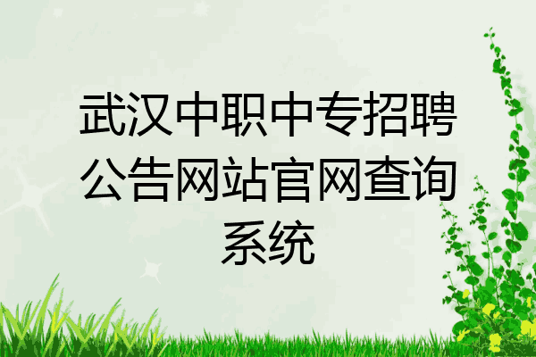 武汉中职中专招聘公告网站官网查询系统