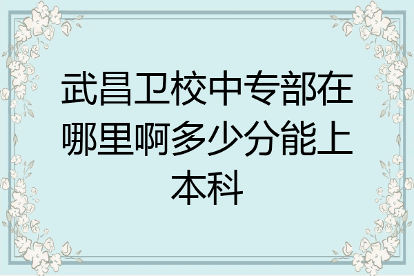 武昌卫校中专部在哪里啊多少分能上本科