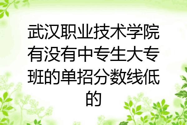 武汉职业技术学院有没有中专生大专班的单招分数线低的