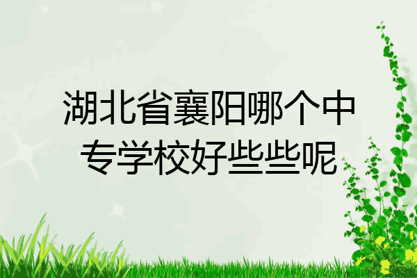 湖北省襄阳哪个中专学校好些些呢