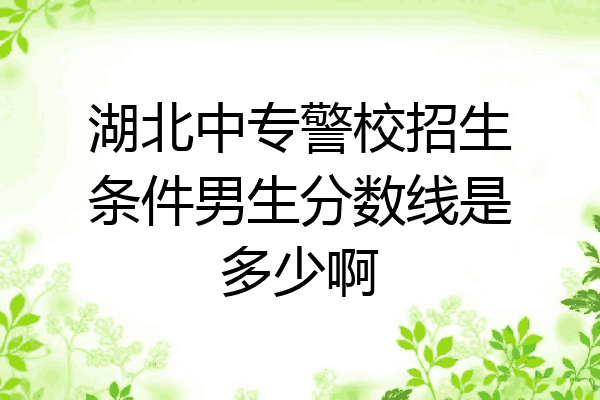 湖北中专警校招生条件男生分数线是多少啊