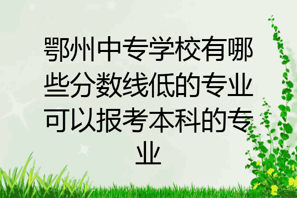 鄂州中专学校有哪些分数线低的专业可以报考本科的专业