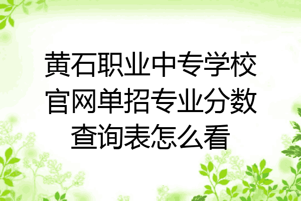黄石职业中专学校官网单招专业分数查询表怎么看