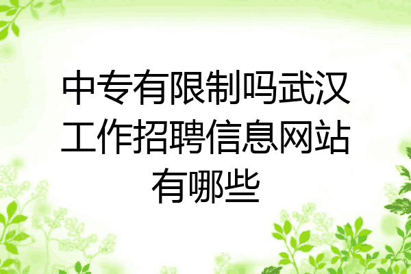 中专有限制吗武汉工作招聘信息网站有哪些