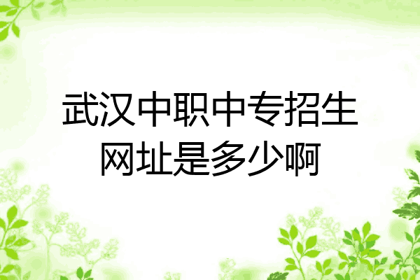 武汉中职中专招生网址是多少啊