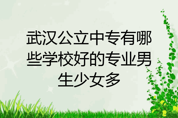 武汉公立中专有哪些学校好的专业男生少女多