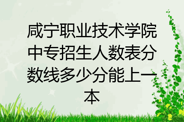 咸宁职业技术学院中专招生人数表分数线多少分能上一本