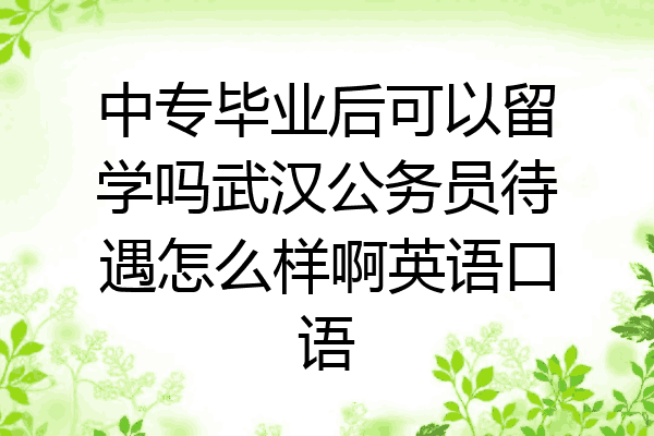 中专毕业后可以留学吗武汉公务员待遇怎么样啊英语口语