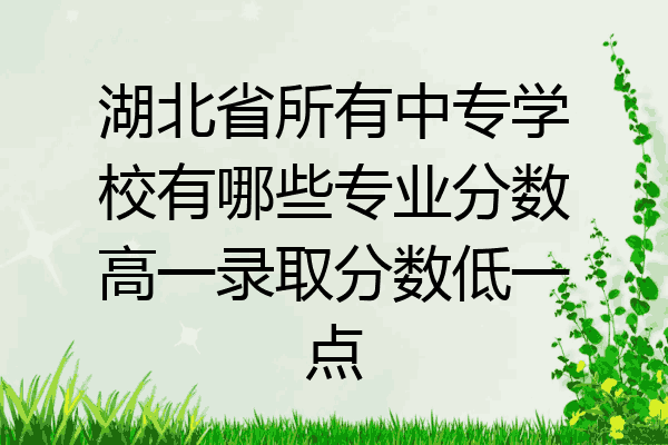 湖北省所有中专学校有哪些专业分数高一录取分数低一点