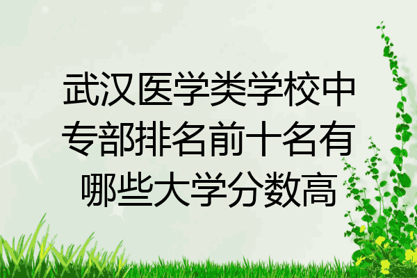 武汉医学类学校中专部排名前十名有哪些大学分数高