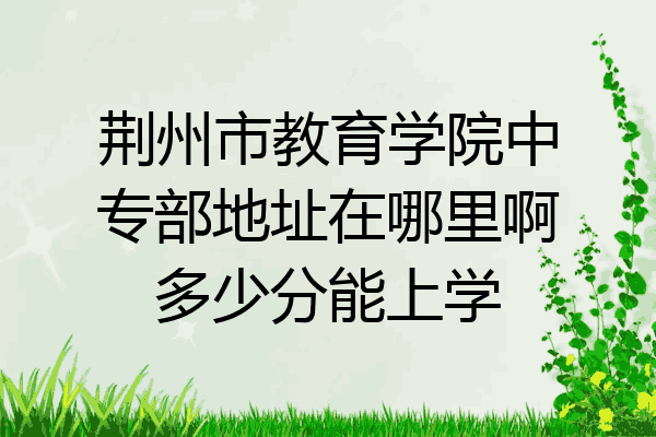 荆州市教育学院中专部地址在哪里啊多少分能上学