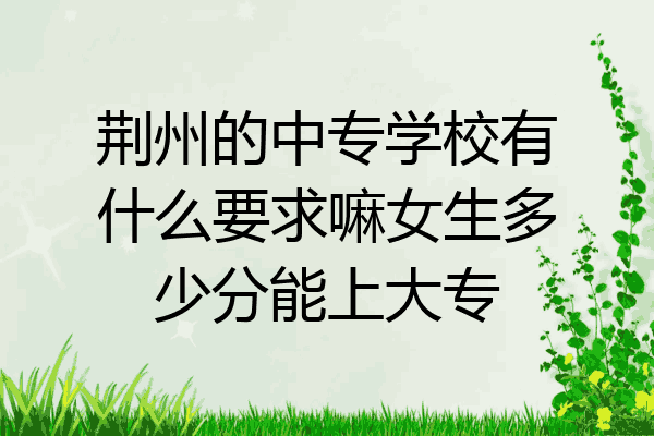 荆州的中专学校有什么要求嘛女生多少分能上大专