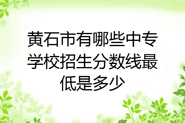 黄石市有哪些中专学校招生分数线最低是多少