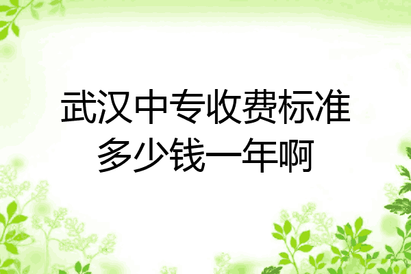武汉中专收费标准多少钱一年啊