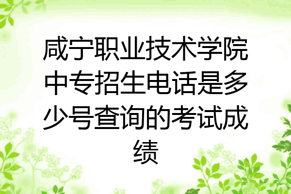 咸宁职业技术学院中专招生电话是多少号查询的考试成绩