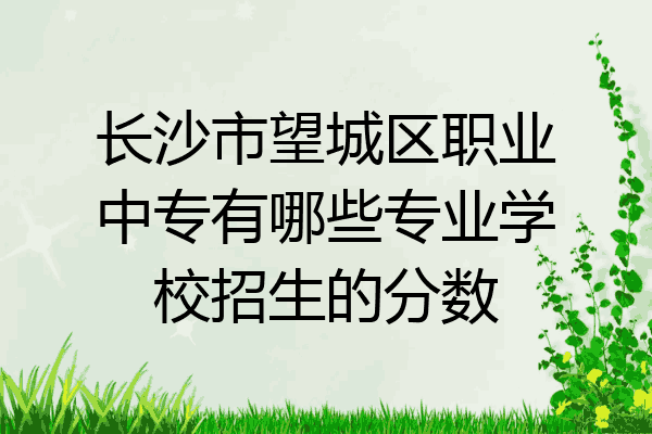 长沙市望城区职业中专有哪些专业学校招生的分数