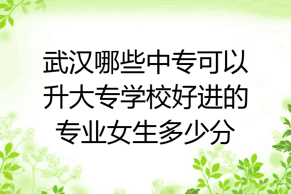 武汉哪些中专可以升大专学校好进的专业女生多少分