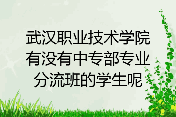 武汉职业技术学院有没有中专部专业分流班的学生呢