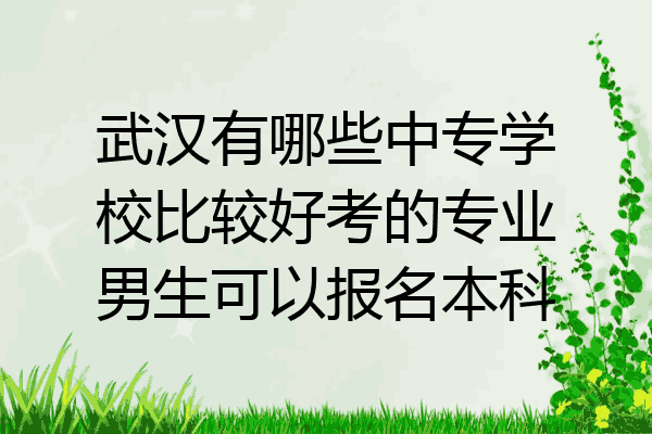 武汉有哪些中专学校比较好考的专业男生可以报名本科
