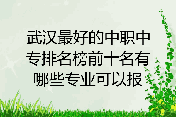 武汉最好的中职中专排名榜前十名有哪些专业可以报