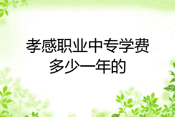 孝感职业中专学费多少一年的