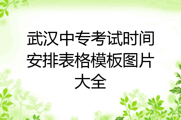 武汉中专考试时间安排表格模板图片大全