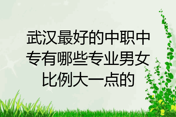 武汉最好的中职中专有哪些专业男女比例大一点的