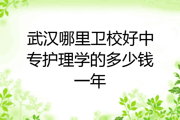 武汉哪里卫校好中专护理学的多少钱一年