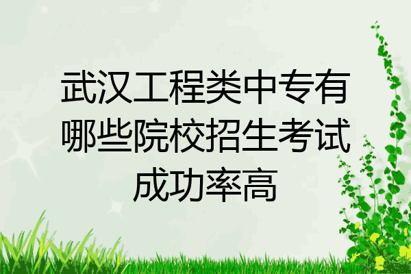 武汉工程类中专有哪些院校招生考试成功率高