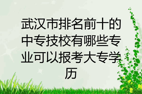 武汉市排名前十的中专技校有哪些专业可以报考大专学历