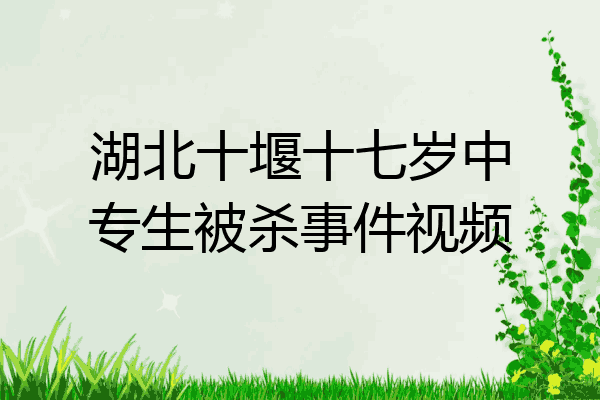 湖北十堰十七岁中专生被杀事件视频
