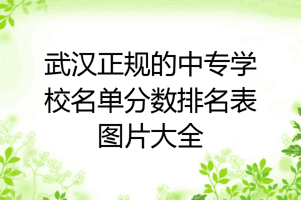 武汉正规的中专学校名单分数排名表图片大全