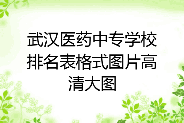 武汉医药中专学校排名表格式图片高清大图