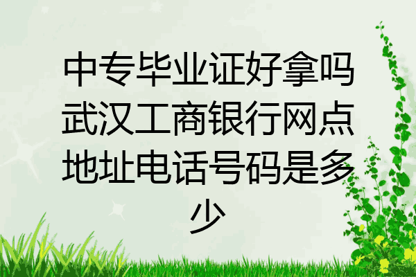 中专毕业证好拿吗武汉工商银行网点地址电话号码是多少