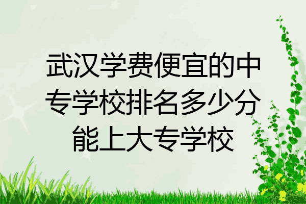 武汉学费便宜的中专学校排名多少分能上大专学校