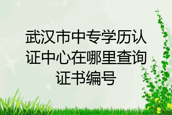 武汉市中专学历认证中心在哪里查询证书编号