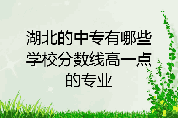 湖北的中专有哪些学校分数线高一点的专业