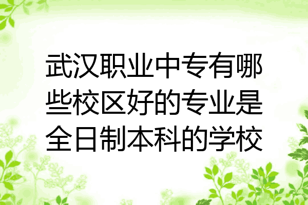 武汉职业中专有哪些校区好的专业是全日制本科的学校
