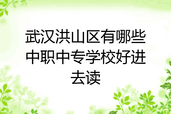 武汉洪山区有哪些中职中专学校好进去读