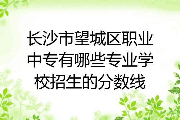 长沙市望城区职业中专有哪些专业学校招生的分数线