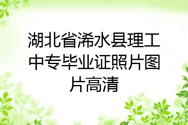 湖北省浠水县理工中专毕业证照片图片高清