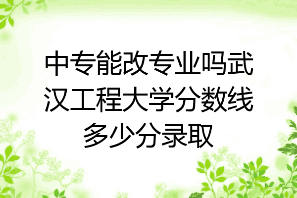 中专能改专业吗武汉工程大学分数线多少分录取