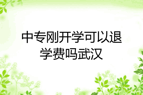 中专刚开学可以退学费吗武汉
