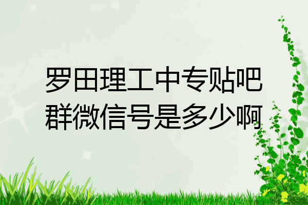 罗田理工中专贴吧群微信号是多少啊