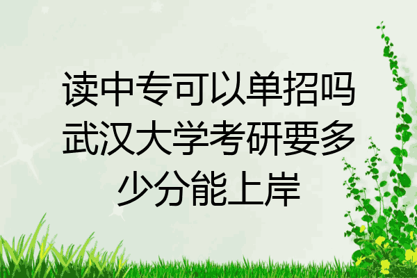 读中专可以单招吗武汉大学考研要多少分能上岸