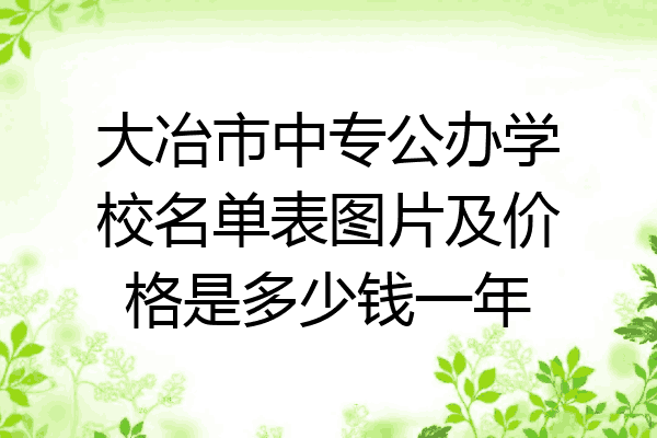 大冶市中专公办学校名单表图片及价格是多少钱一年