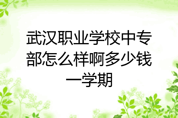 武汉职业学校中专部怎么样啊多少钱一学期