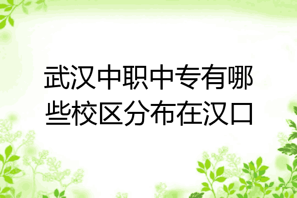 武汉中职中专有哪些校区分布在汉口