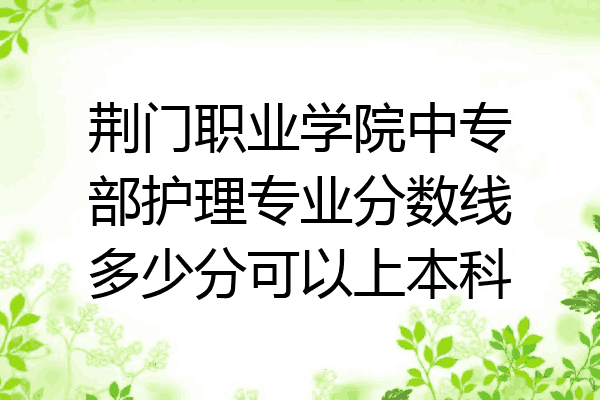 荆门职业学院中专部护理专业分数线多少分可以上本科