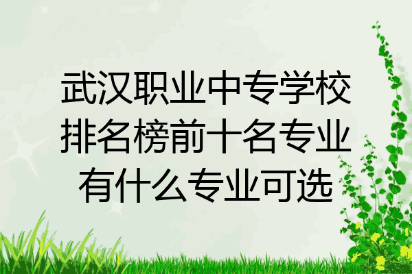 武汉职业中专学校排名榜前十名专业有什么专业可选